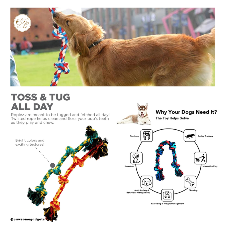 Dog Combo – Stainless Steel Bowl, Leash & Rope Toy Set