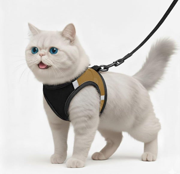 Padded Harness and Leash for Adult Cats