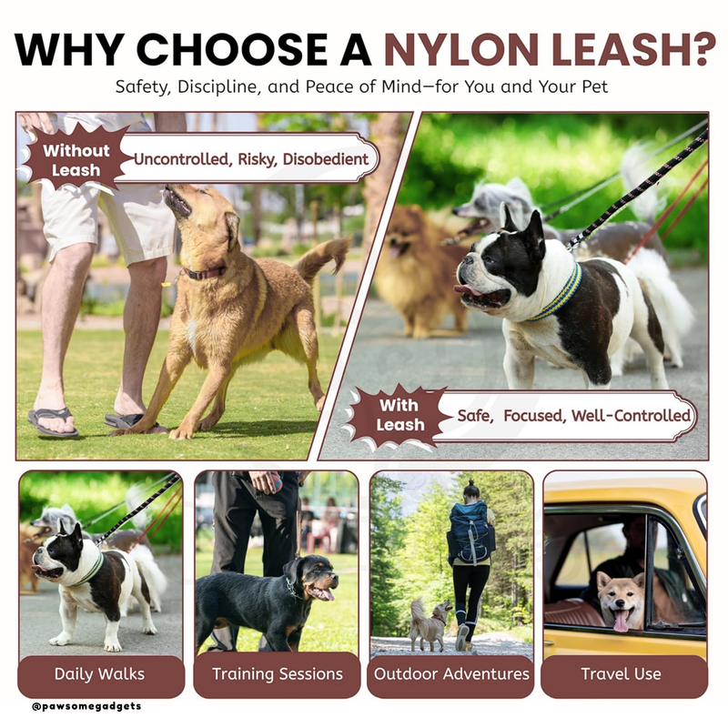 Dog Combo – Stainless Steel Bowl, Leash & Rope Toy Set