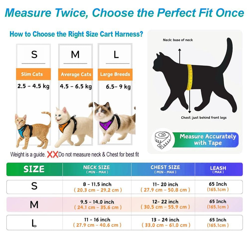 Padded Harness and Leash for Adult Cats