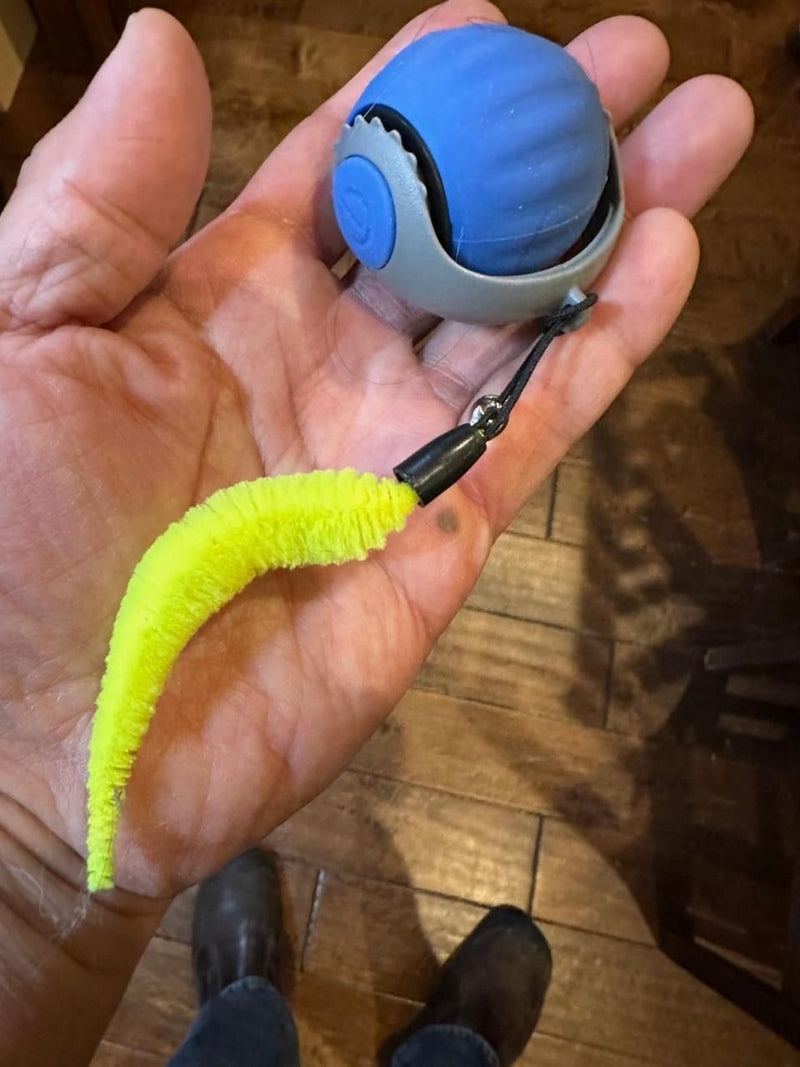 Electric Cat Ball Toy with Lint Collection Capability.