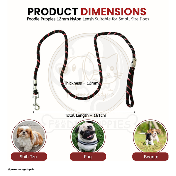 Dog Combo – Stainless Steel Bowl, Leash & Rope Toy Set
