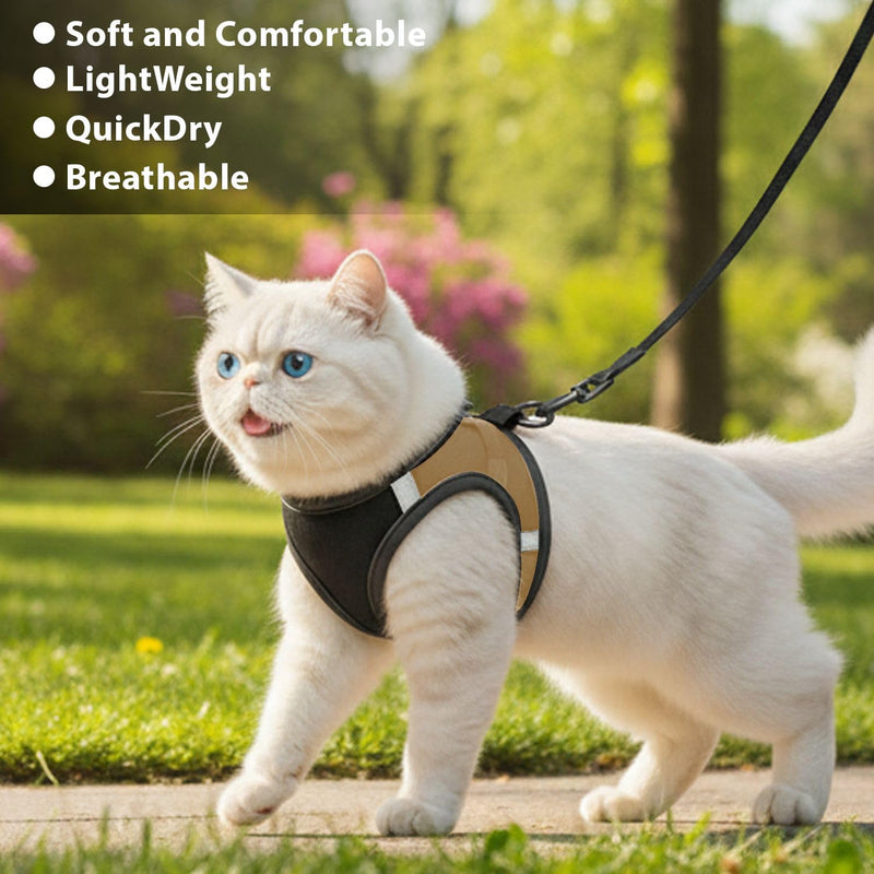 Padded Harness and Leash for Adult Cats