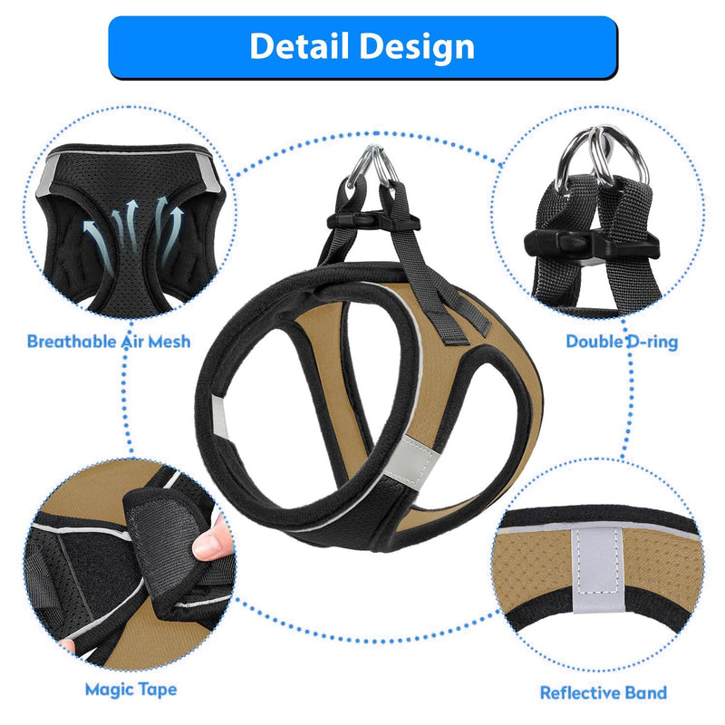 Padded Harness and Leash for Adult Cats