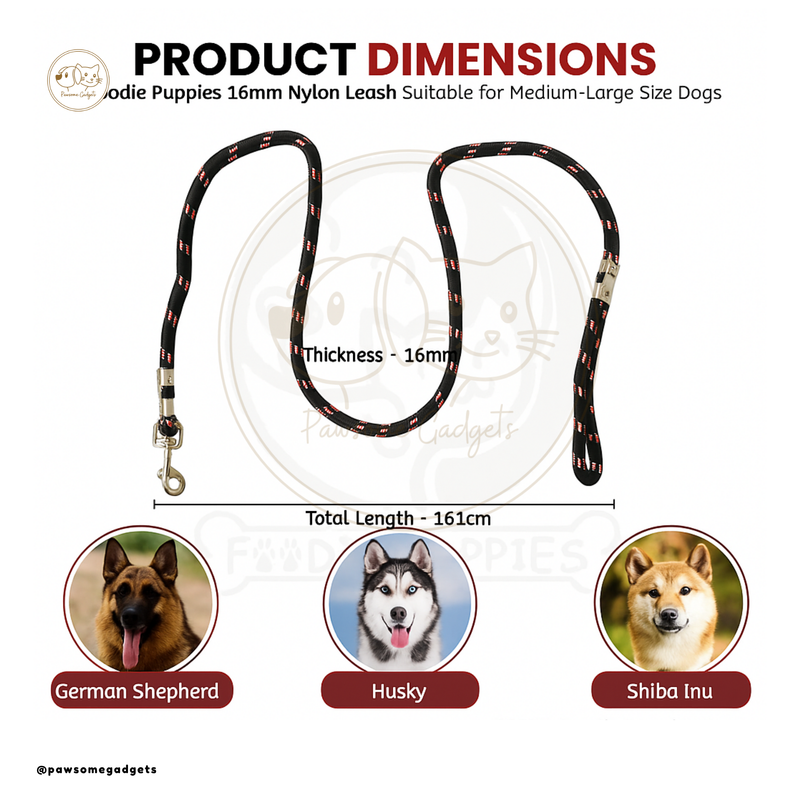 Dog Combo – Stainless Steel Bowl, Leash & Rope Toy Set