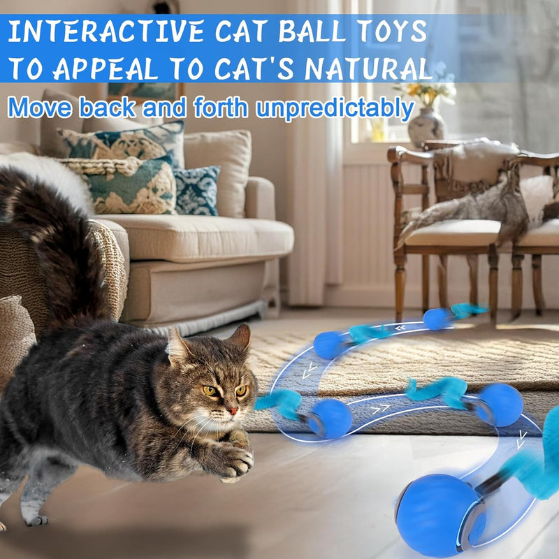 Electric Cat Ball Toy with Lint Collection Capability.