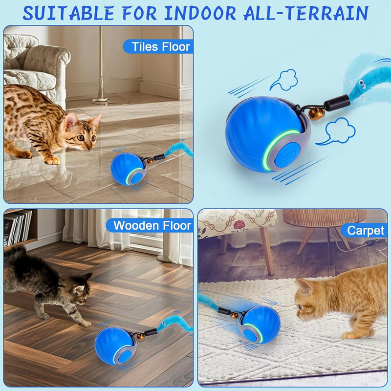 Electric Cat Ball Toy with Lint Collection Capability.