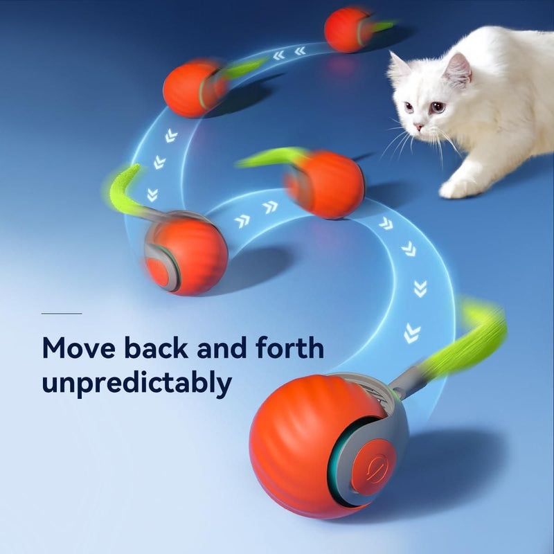 Electric Cat Ball Toy with Lint Collection Capability.