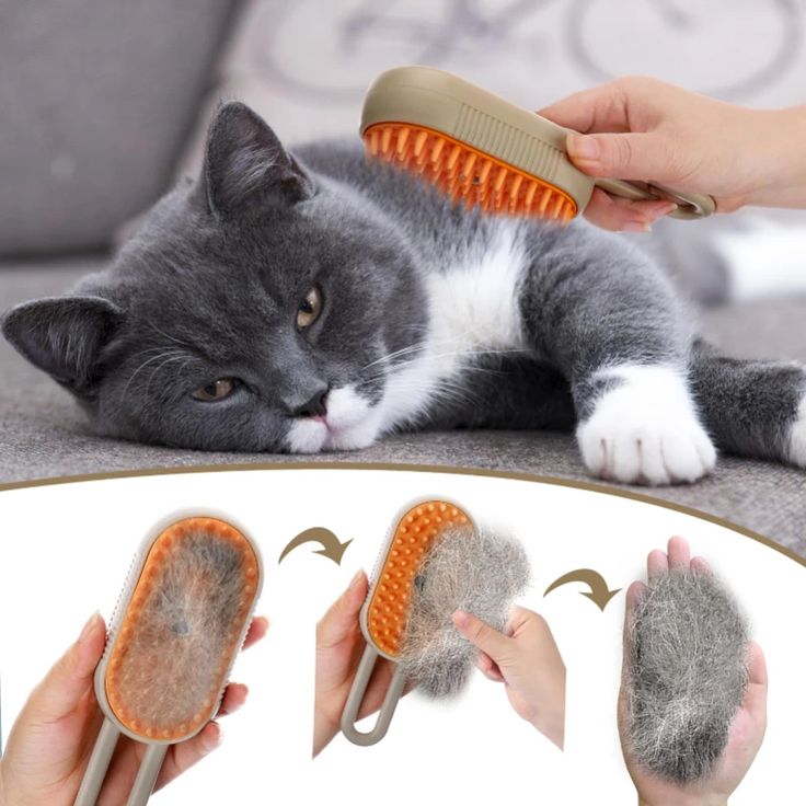 3 In 1 Steamy Pet Cat Brush Cleanser