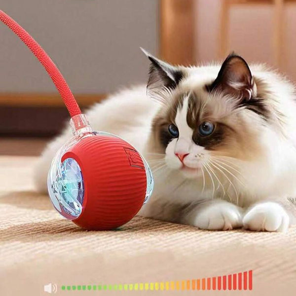 Electric Cat Ball Toy with Lint Collection Capability.