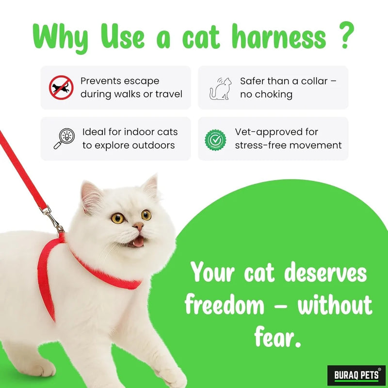 Plain Full Body Cat Harness with Leash Set