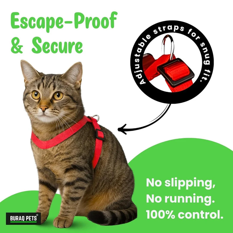 Plain Full Body Cat Harness with Leash Set