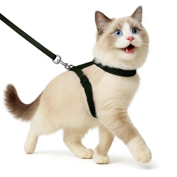 Plain Full Body Cat Harness with Leash Set
